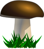 Un champignon